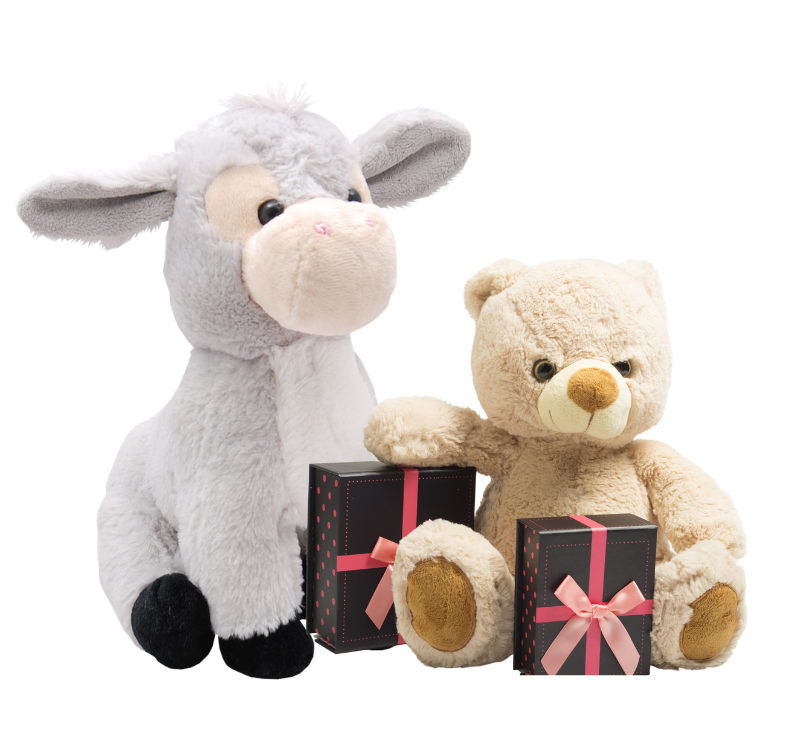 Teddy bear plush toy